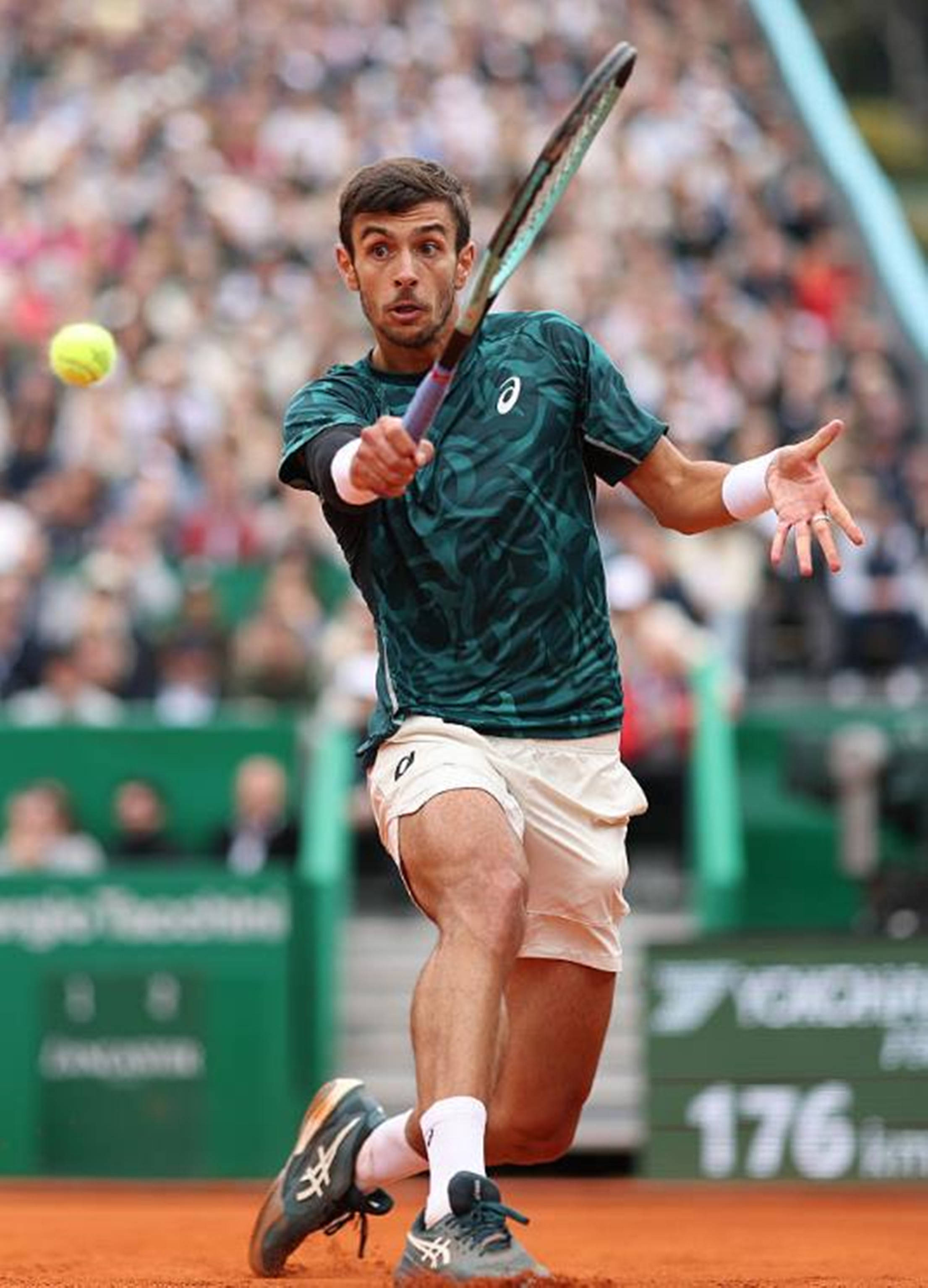 款被称为 款被称为